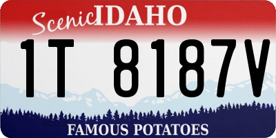 ID license plate 1T8187V