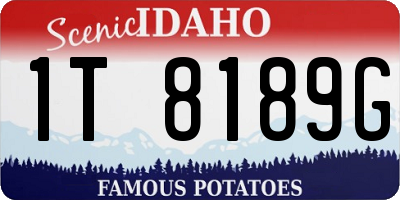 ID license plate 1T8189G