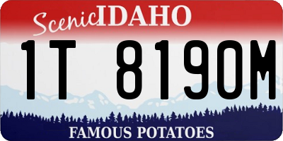 ID license plate 1T8190M