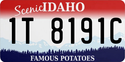 ID license plate 1T8191C