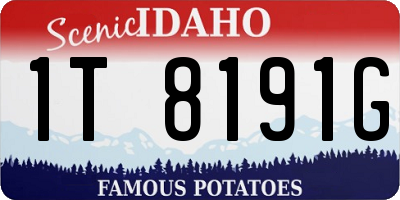 ID license plate 1T8191G