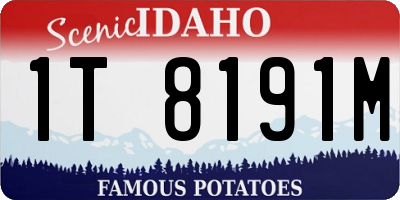 ID license plate 1T8191M