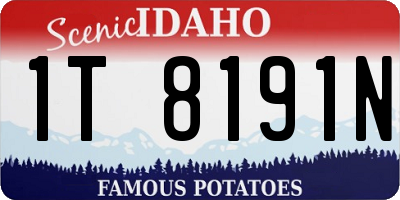 ID license plate 1T8191N