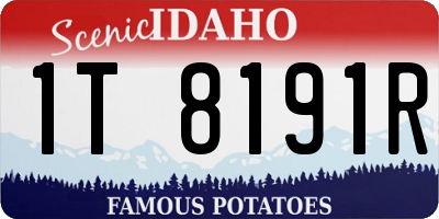 ID license plate 1T8191R