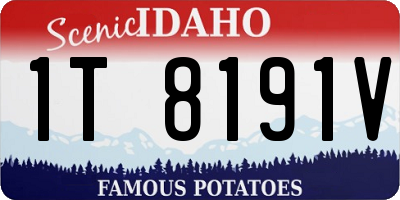 ID license plate 1T8191V