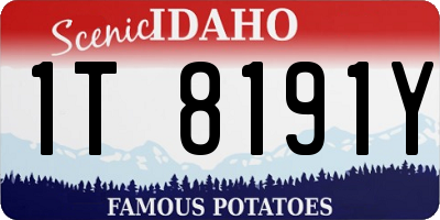 ID license plate 1T8191Y