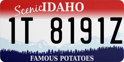 ID license plate 1T8191Z