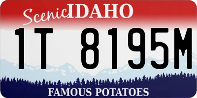 ID license plate 1T8195M