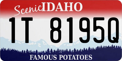 ID license plate 1T8195Q