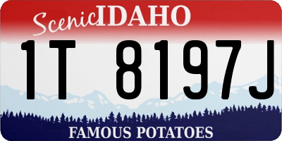 ID license plate 1T8197J