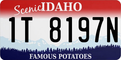 ID license plate 1T8197N