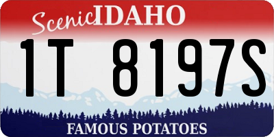ID license plate 1T8197S