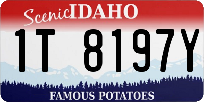ID license plate 1T8197Y