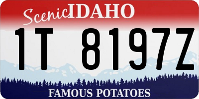 ID license plate 1T8197Z