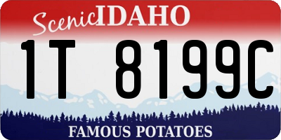 ID license plate 1T8199C