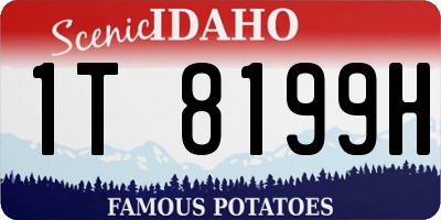 ID license plate 1T8199H