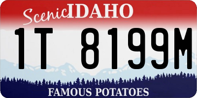 ID license plate 1T8199M