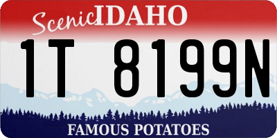 ID license plate 1T8199N