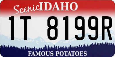 ID license plate 1T8199R