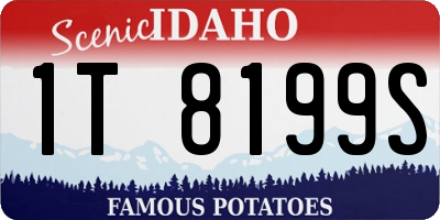 ID license plate 1T8199S