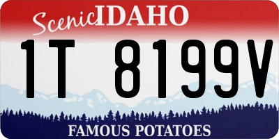 ID license plate 1T8199V