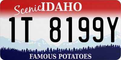 ID license plate 1T8199Y