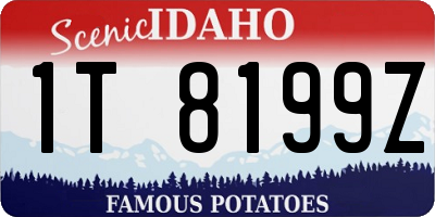 ID license plate 1T8199Z