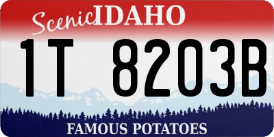 ID license plate 1T8203B
