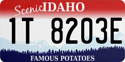 ID license plate 1T8203E