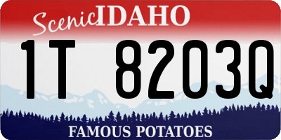 ID license plate 1T8203Q