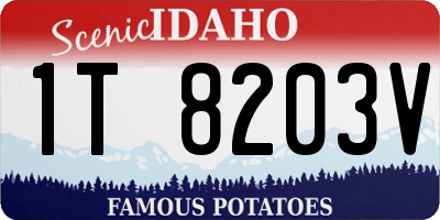 ID license plate 1T8203V