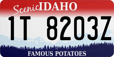 ID license plate 1T8203Z