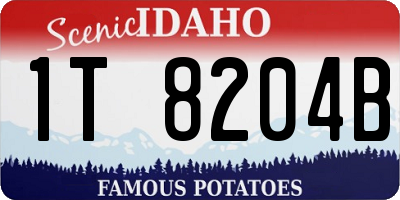 ID license plate 1T8204B