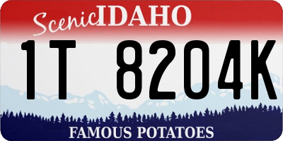 ID license plate 1T8204K