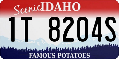 ID license plate 1T8204S
