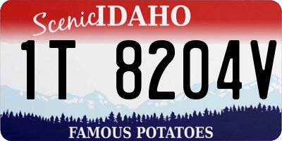 ID license plate 1T8204V