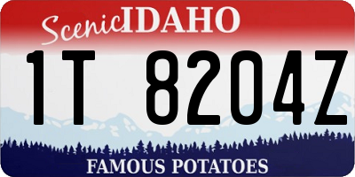 ID license plate 1T8204Z