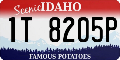 ID license plate 1T8205P