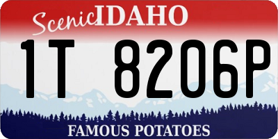 ID license plate 1T8206P