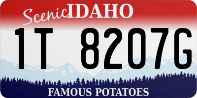 ID license plate 1T8207G