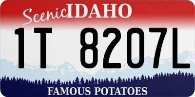 ID license plate 1T8207L
