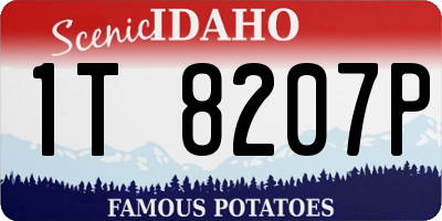 ID license plate 1T8207P