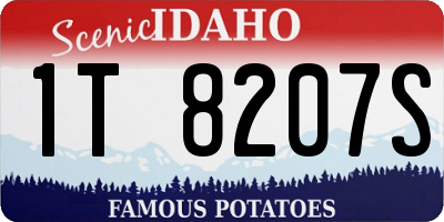 ID license plate 1T8207S