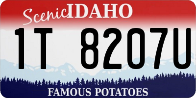 ID license plate 1T8207U