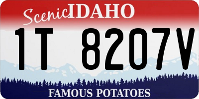 ID license plate 1T8207V