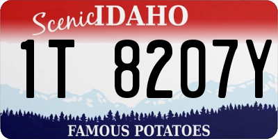 ID license plate 1T8207Y
