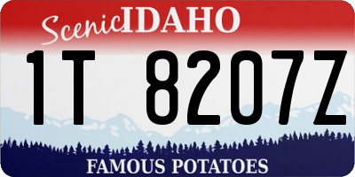 ID license plate 1T8207Z