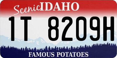 ID license plate 1T8209H