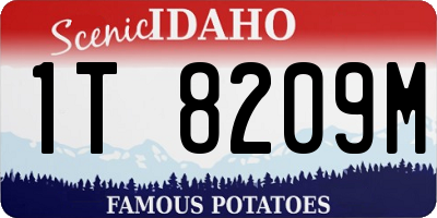 ID license plate 1T8209M