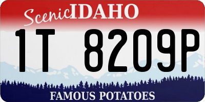 ID license plate 1T8209P